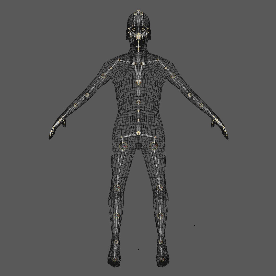 3d Realistic Base Mesh Old