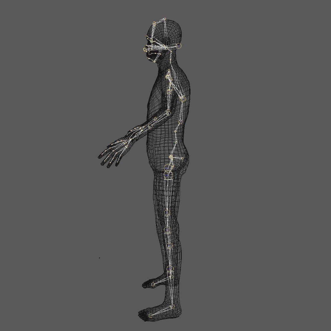3d Realistic Base Mesh Old