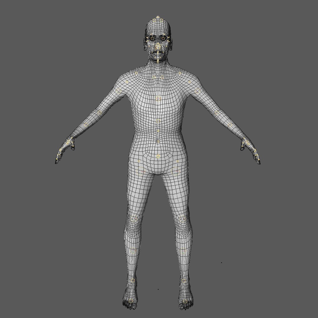 3d Realistic Base Mesh Old