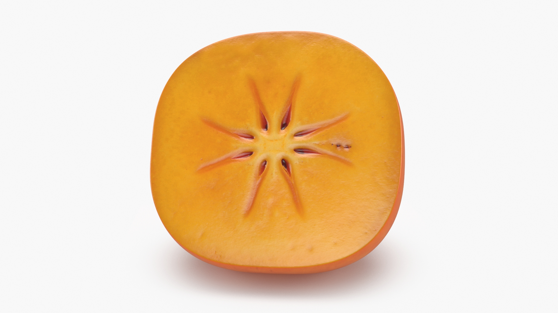 Persimmon Collection 3D Model TurboSquid 2132949