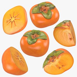Persimmon Collection 3D model