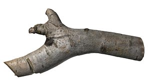 branch rotten wood 3d obj