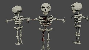 3D Game Ready Skeleton LowPoly Rigged Animated