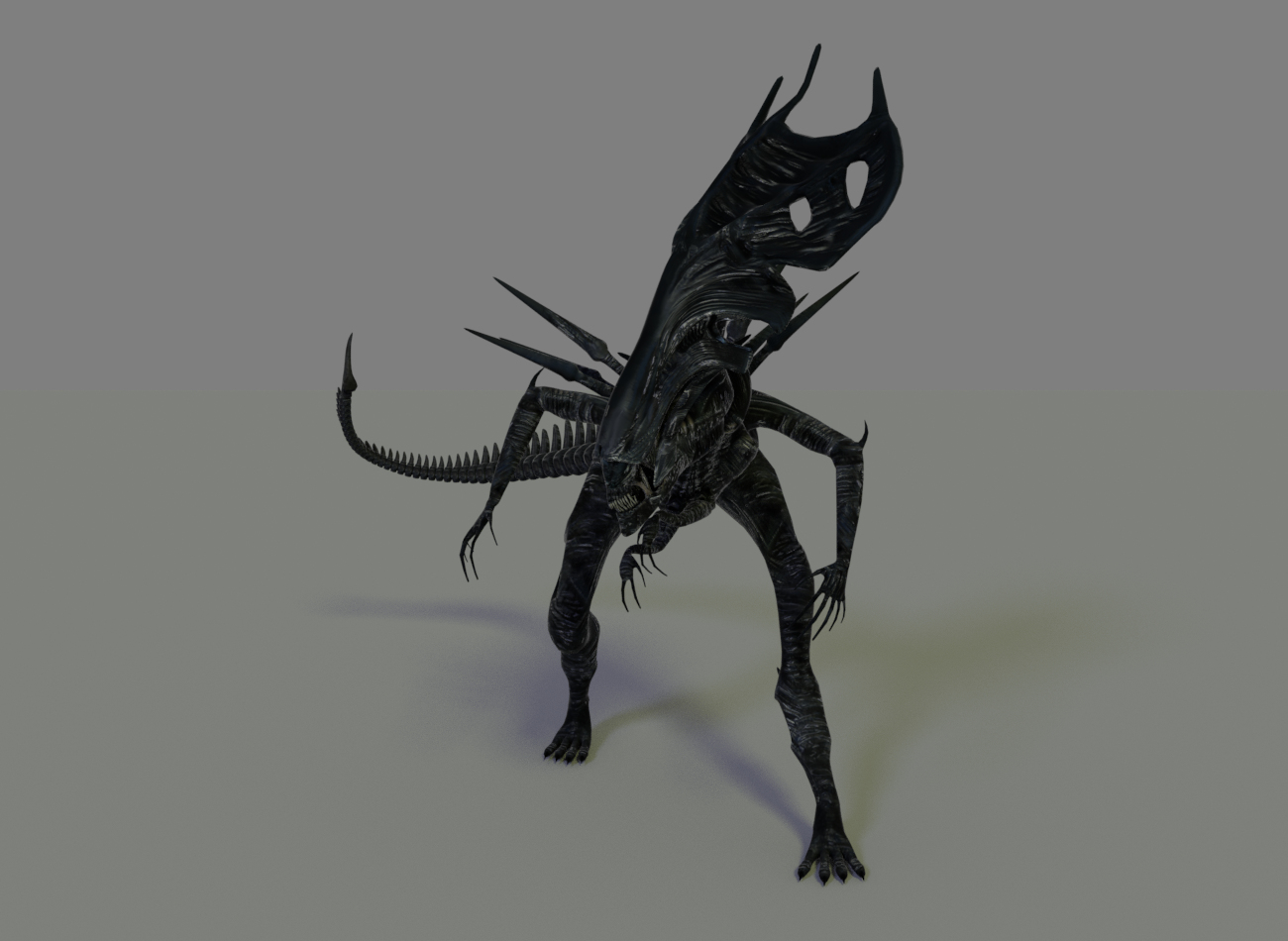 queen xenomorph 3d model