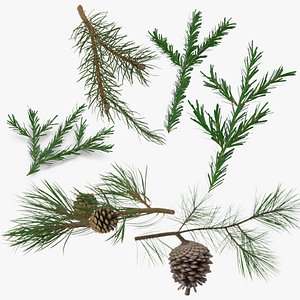 3d 3 pine tree sprig