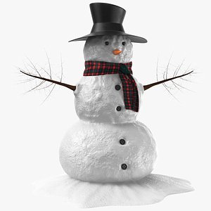 Detailed Snow Man 3D