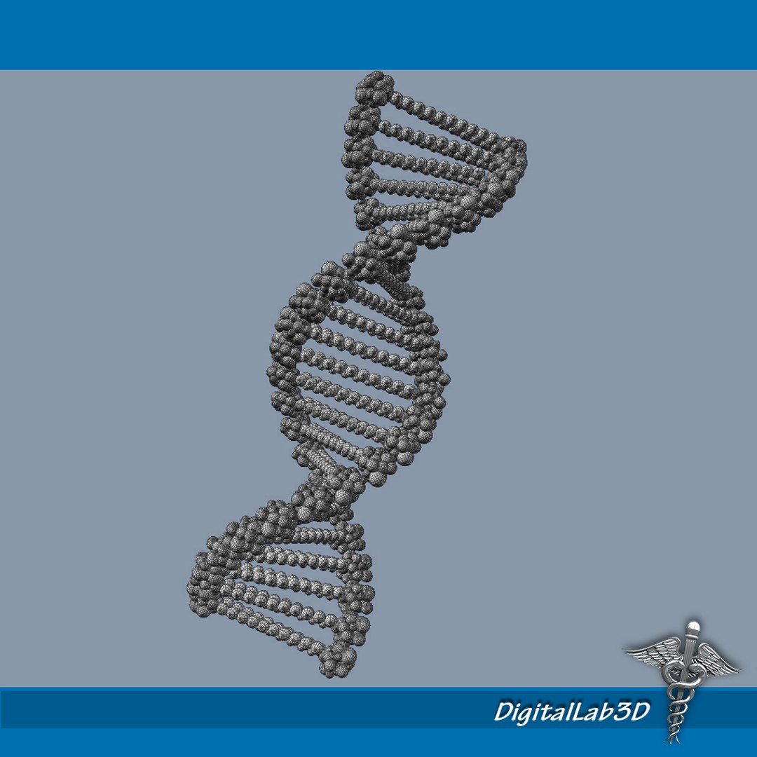 dna structure molecules 3d max https://p.turbosquid.com/ts-thumb/0z/6DZ7N0/LaaqWTsE/dna_wireframe2/jpg/1290221272/1920x1080/fit_q87/3dda9ee253d8ff57eb0c01f4a20ace762a4bfa06/dna_wireframe2.jpg