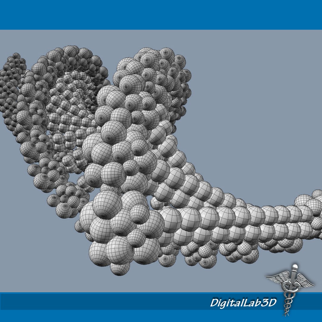 dna structure molecules 3d max https://p.turbosquid.com/ts-thumb/0z/6DZ7N0/WueEs6pC/dna_wireframe/jpg/1290221272/1920x1080/fit_q87/237174209ef040d7ac70f3588f2bfa2ac19e5ee2/dna_wireframe.jpg