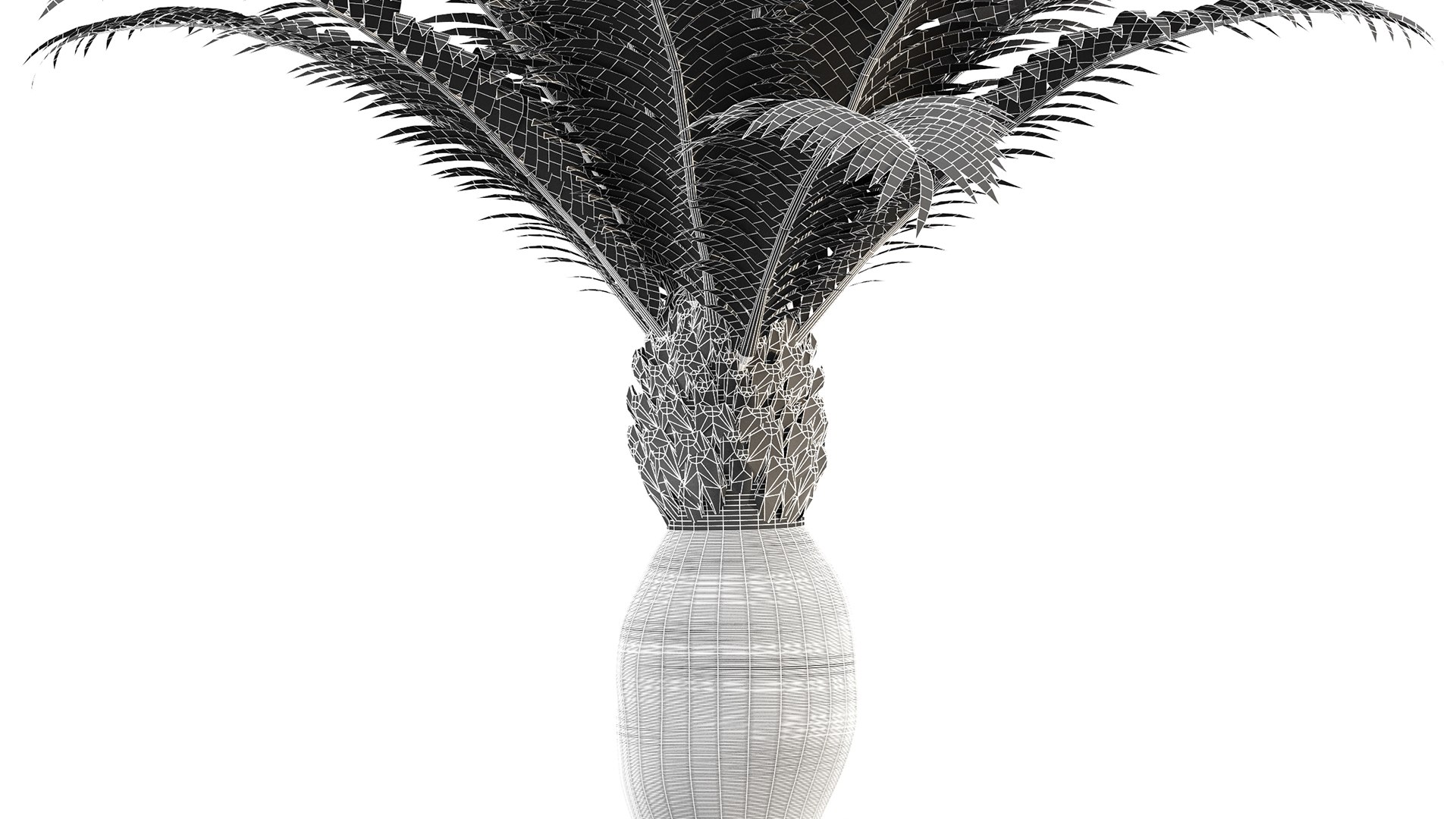 Canary Island Date Palm Phoenix Canariensis 6 Trees model https://p.turbosquid.com/ts-thumb/0z/7nwUkM/7x/z07/png/1718622974/1920x1080/fit_q87/d50f2bfe5bc91b5b486d297b12a7bd6e5b17aa7a/z07.jpg