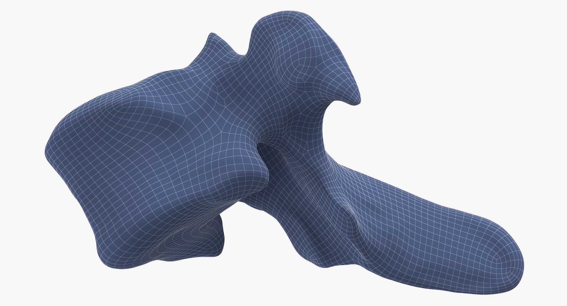3D Bear Ursus Thoracic Vertebrae T10 - TurboSquid 2134262