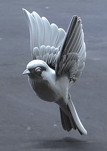 bird