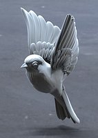 bird