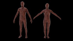 3D Mannequin