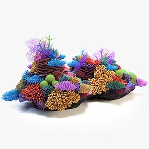 coral reef 03 3D