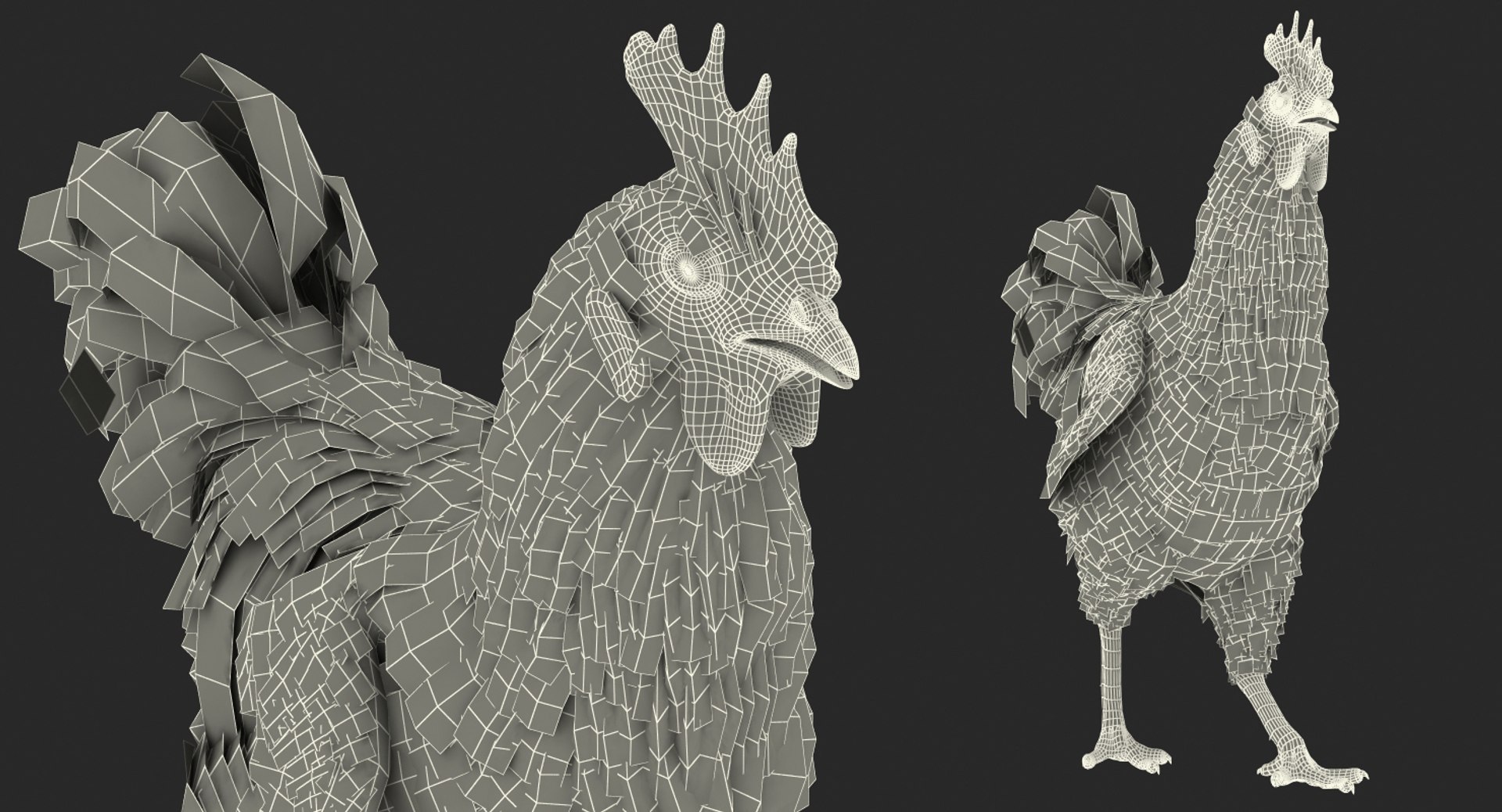 3d Model Brown Hen Rigged