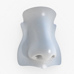 nose 2 3D model