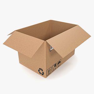 Cardboard box 16 3D