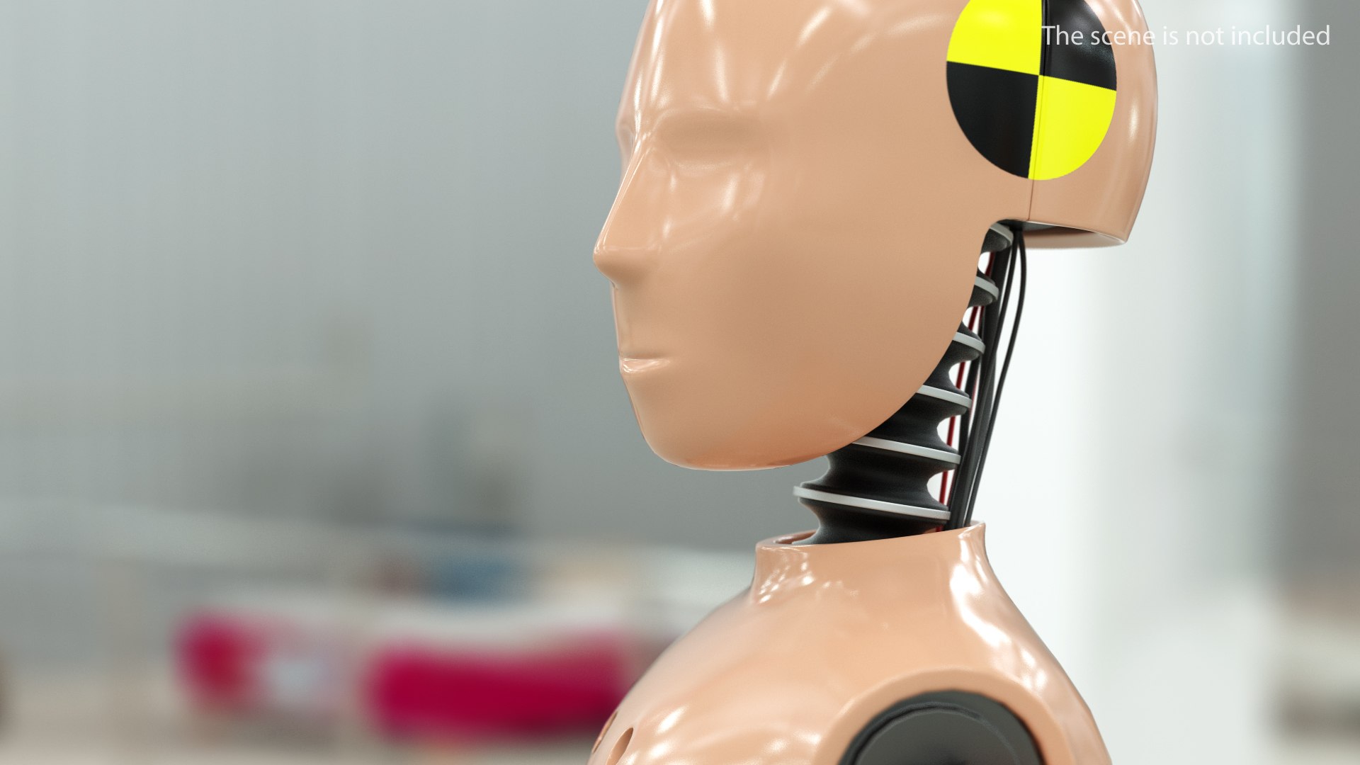 Teenager Crash Test Dummy Rigged 3D model preview