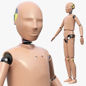 Teenager Crash Test Dummy Rigged