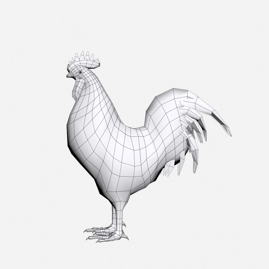 Max Rooster