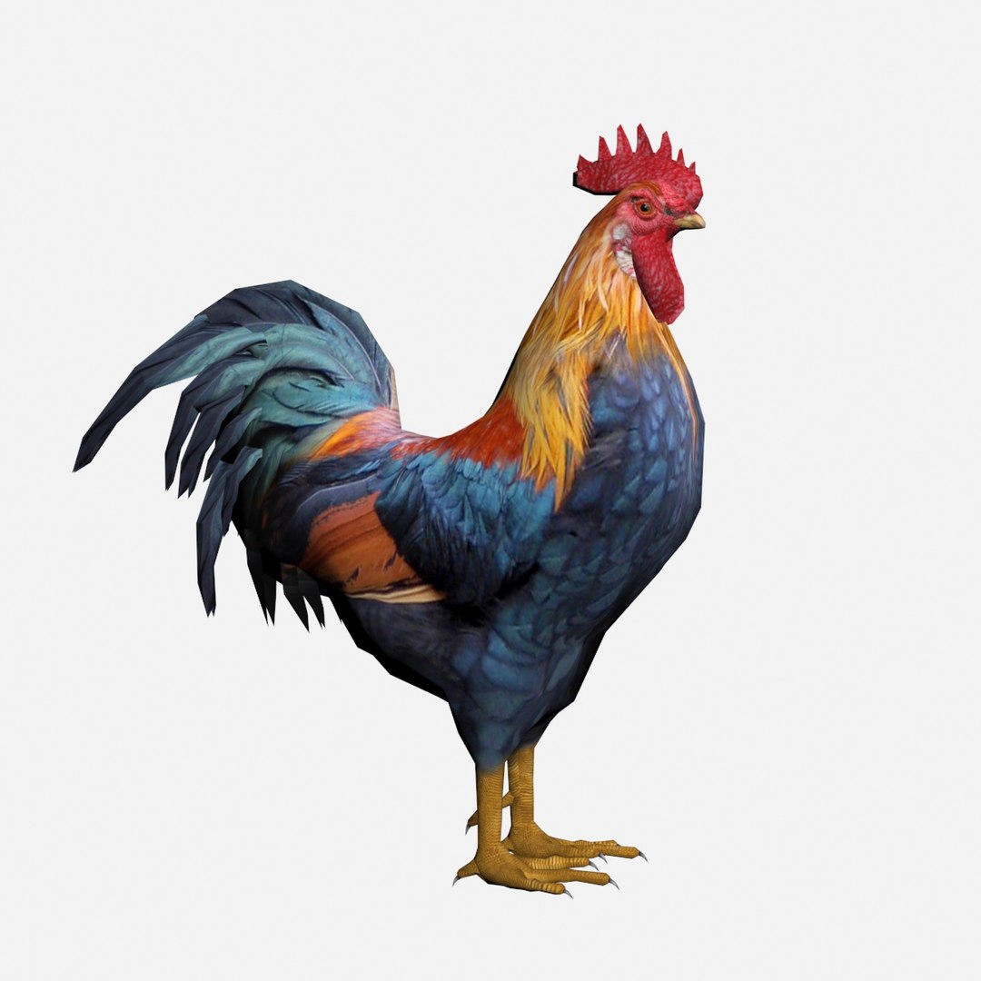 Max Rooster