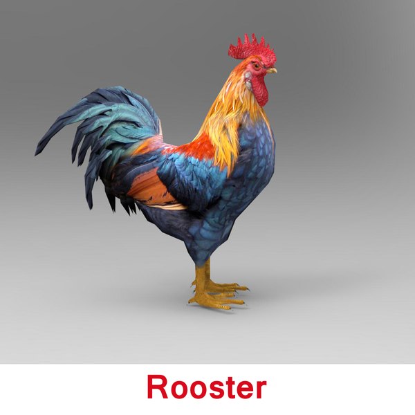 3d model rooster