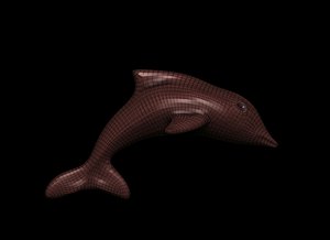 Dolphin Base Meshes 3D model