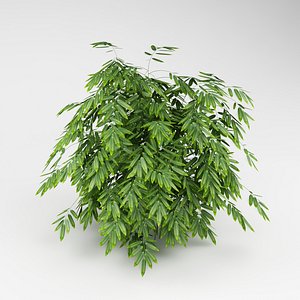 bush garden bamboo 3d max