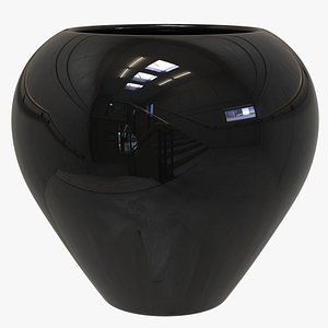 Black Vase 3D