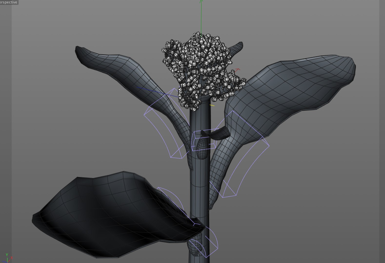 broccoli 3D https://p.turbosquid.com/ts-thumb/10/OZCCdu/BJ56DbkT/11/jpg/1587300896/1920x1080/fit_q87/cdb79f8c47ab0994a5ae97e60d2c91803b90943f/11.jpg