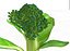 Broccoli Rabe