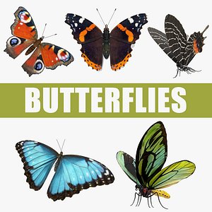 Butterflies 3D Models Collection