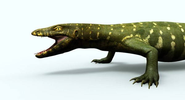 green lizard 3D model