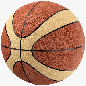 Basketball 08 3D