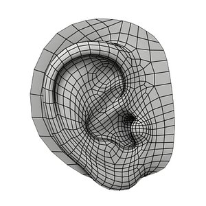 Ear - human