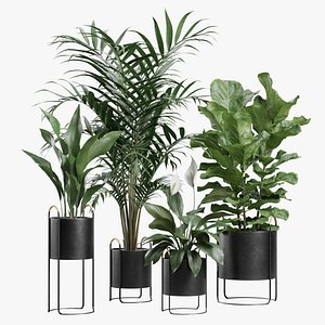 Indoor Plants Pack 69