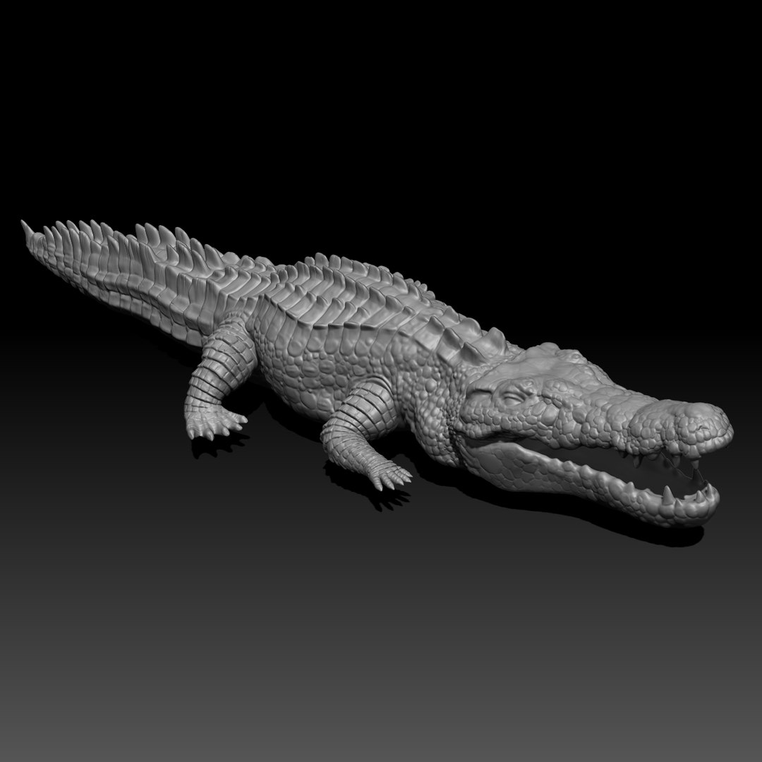 3d Crocodile Model