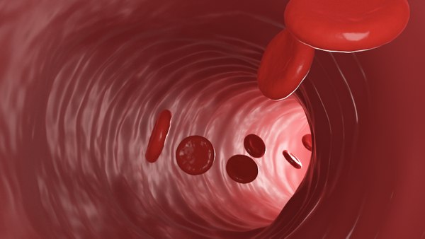 blood cells vessel segment ma