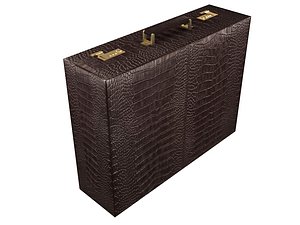 3D briefcase case
