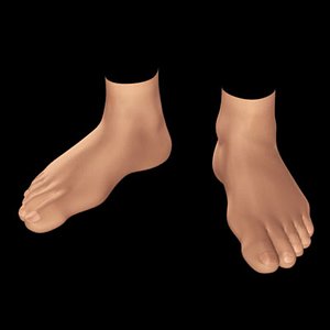 human foot 0 3d model