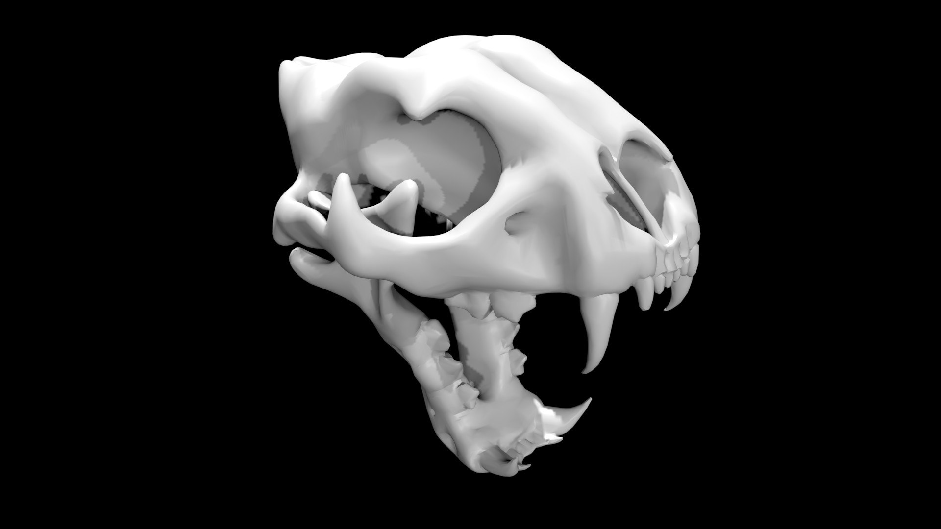 3D Cheetah Skull - TurboSquid 1881364