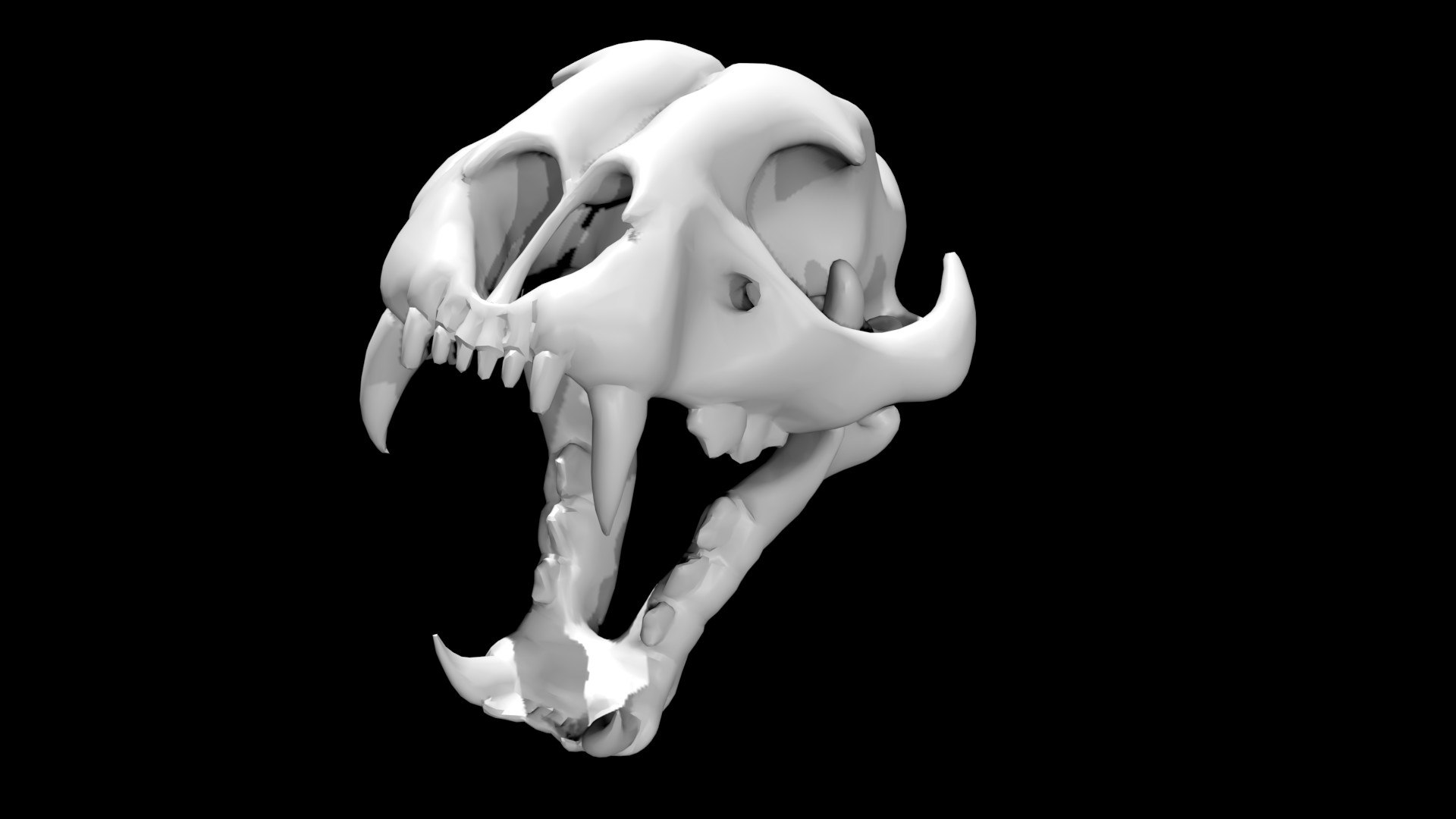 3D Cheetah Skull - TurboSquid 1881364