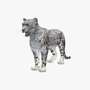 Snow Leopard