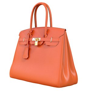 3D model Hermes Birkin Bag Orange Leather