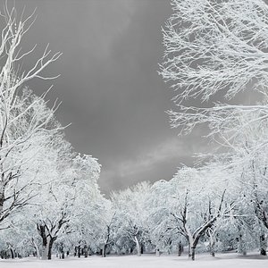 3D HeliosVegetation vol11 Winter trees