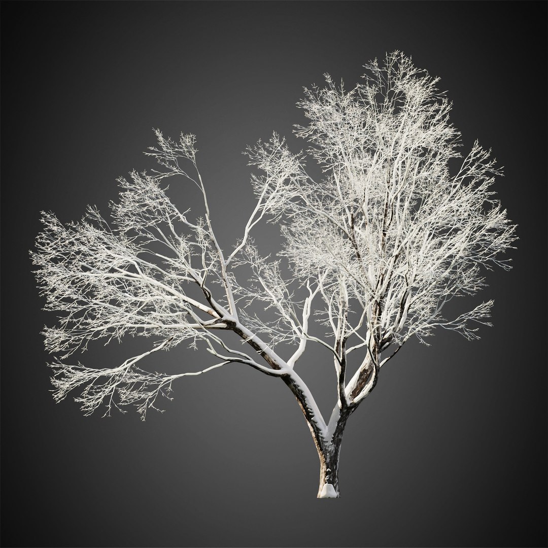 3D HeliosVegetation Vol11 Winter Trees - TurboSquid 1815922