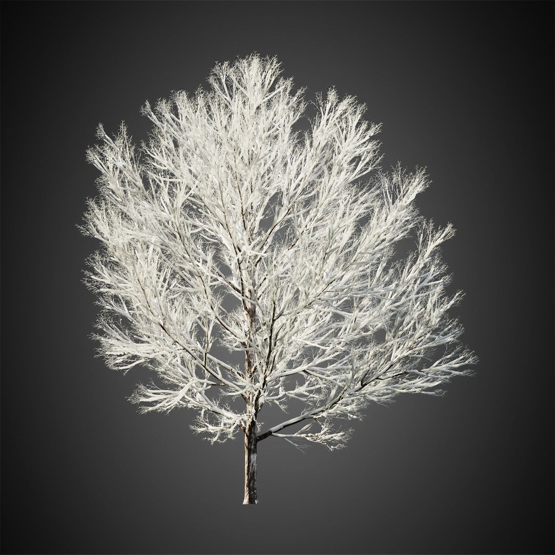 3D HeliosVegetation Vol11 Winter Trees - TurboSquid 1815922