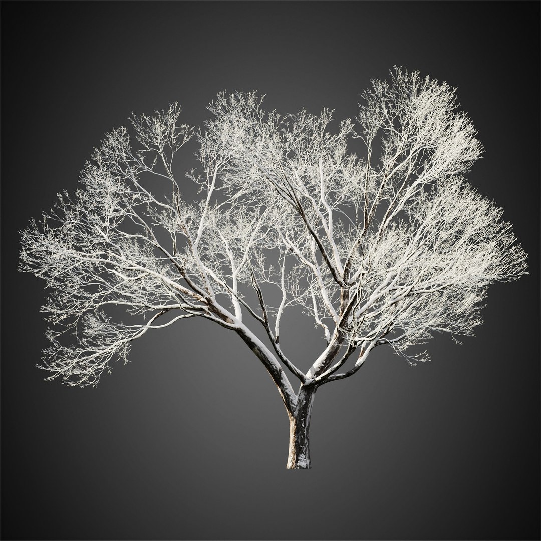 3D HeliosVegetation Vol11 Winter Trees - TurboSquid 1815922
