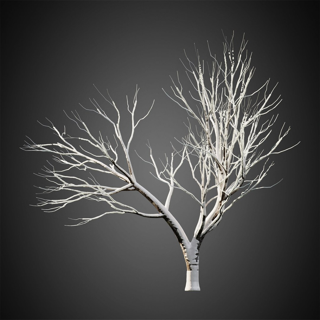 3D HeliosVegetation Vol11 Winter Trees - TurboSquid 1815922