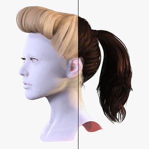 Retro Puff Ponytail Hairstyle -Game  Render Asset